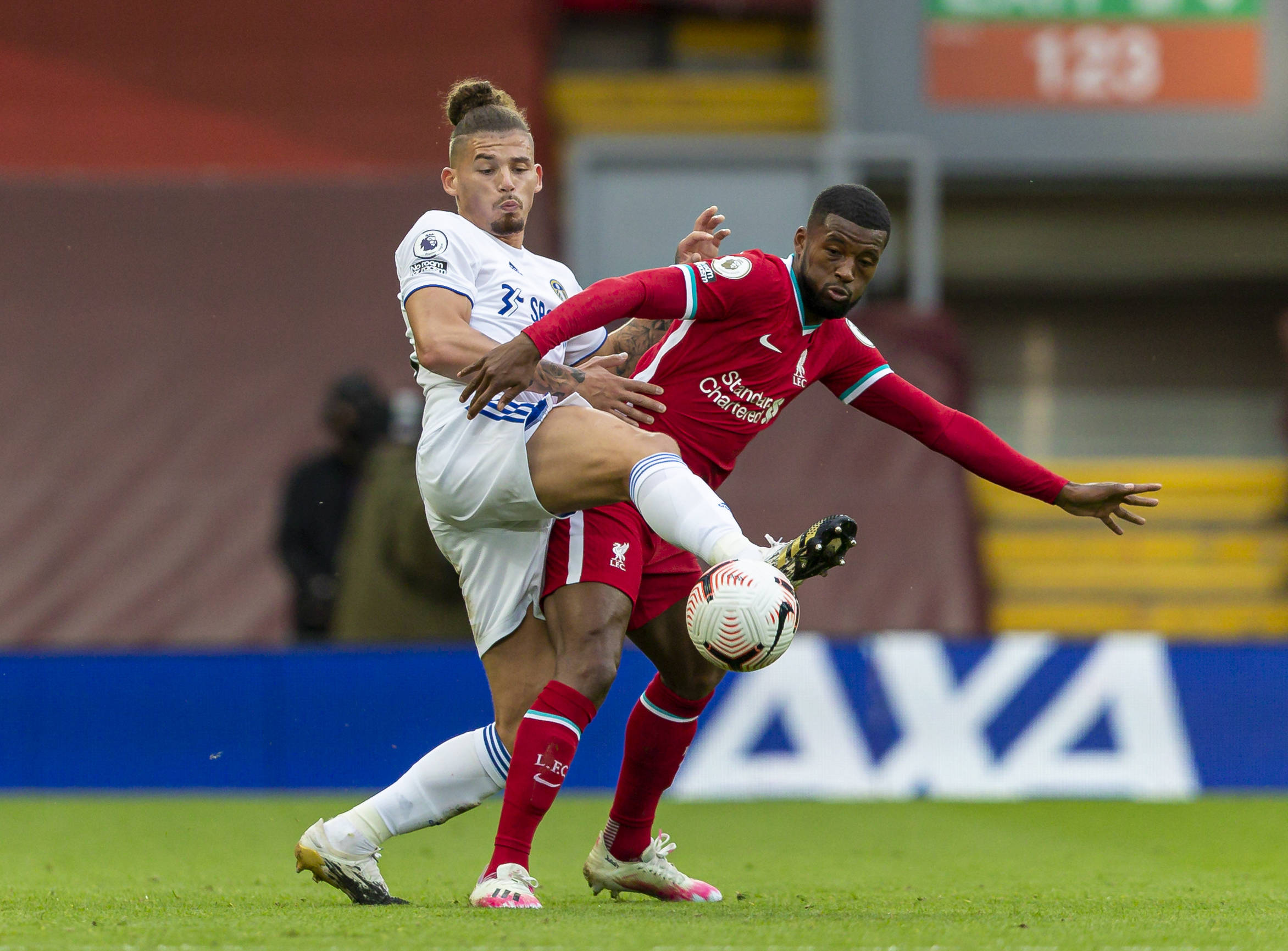 的最新爆料 的最新爆料